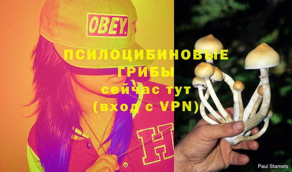 меф Абаза
