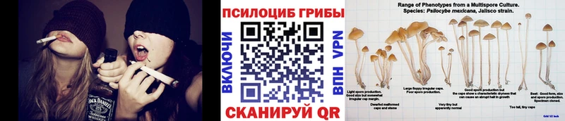 цена наркотик  Нефтегорск  Псилоцибиновые грибы Magic Shrooms 